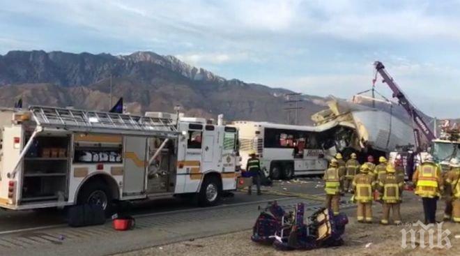 Ад на пътя! 13 мъртви след сблъсък между автобус и товарен камион (ВИДЕО)