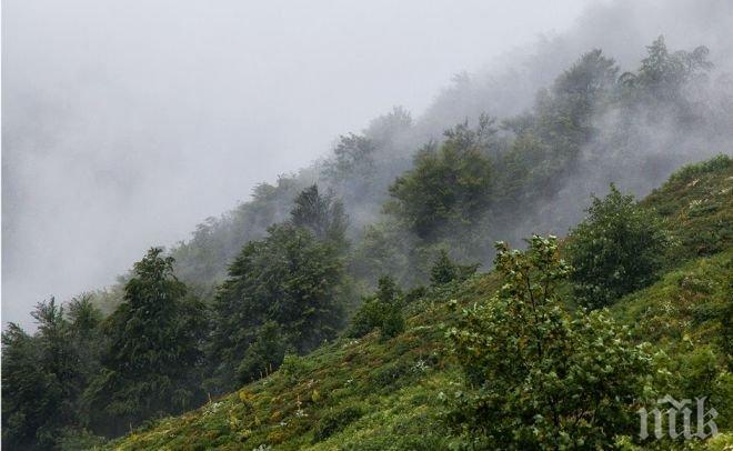 Идва мрачен уикенд, но от понеделник термометърът скача