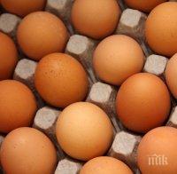 Изтеглят от пазара яйца, внос от Полша, заразени със салмонела