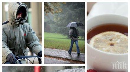 страшна прогноза зимата настъпва температурите падат рязко градуса четвъртък вадете дебелите дрехи