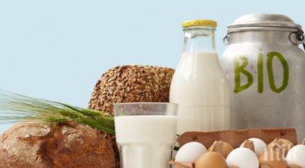 солено бона глоба преметнат био храна