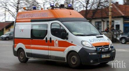 блъснатото зебра годишно момиче дошло съзнание