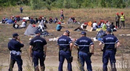 сърбия арестува контрабандисти сърби двама българи