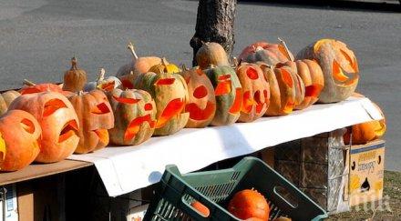 празник тиквата събра стотици разград