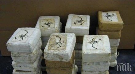 първи подробности крупния удар кулата граничарите открили килограма кокаин високо качество