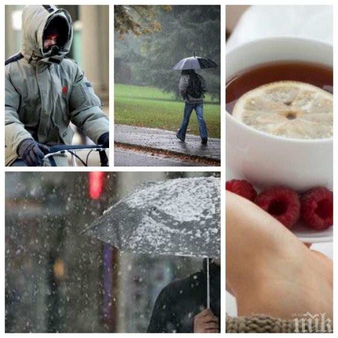 СТРАШНА ПРОГНОЗА! Зимата настъпва! Температурите падат рязко с 10 градуса от четвъртък, вадете дебелите дрехи