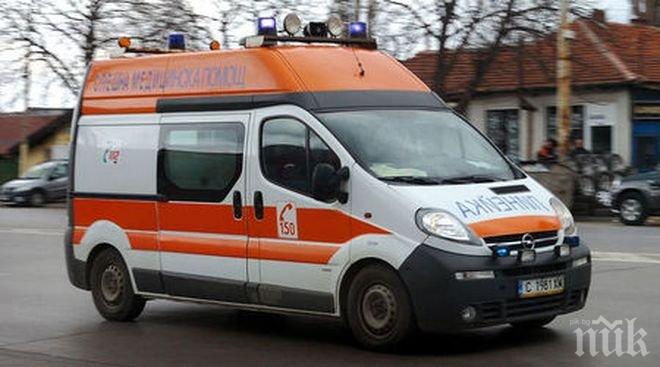 Блъснатото на зебра 13-годишно момиче още не дошло в съзнание