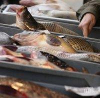 НАП погна търговци на риба на пазара 