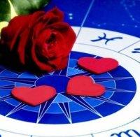 Пълен любовен хороскоп за Ноември