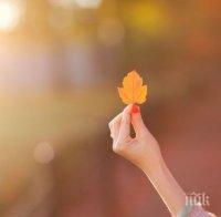 Утре ще се затопли, но денят ще започне с мъгли и ниски температури