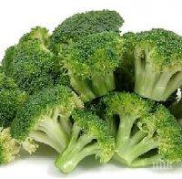 Учените установиха: Броколито забавяло стареенето