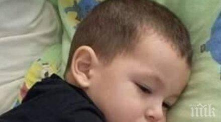 благодарност ден събраха 000 лева валката