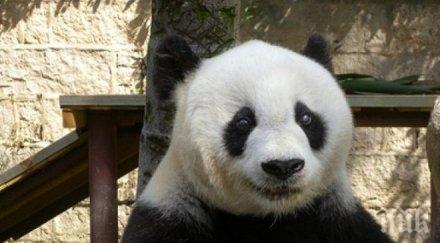 мрачно проучване почти три пети всички гръбначни унищожени 1970 насам