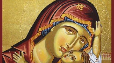 знамение монтана образът богородица появи върба