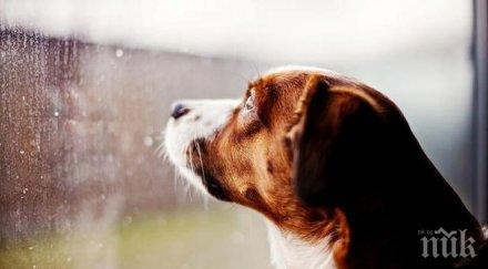 неща правене навън дъждовно