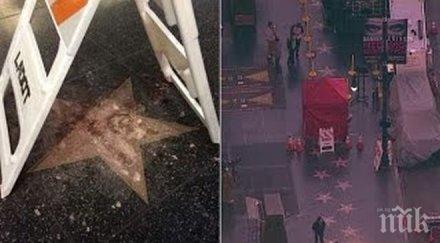 полицията лос анджелис издирва мъж разрушил звездата доналд тръмп холивудска алея славата