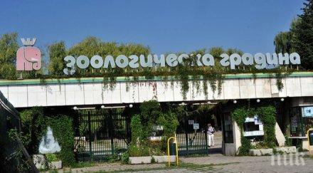 подновиха лицензите зоологическите градини айтос пазарджик