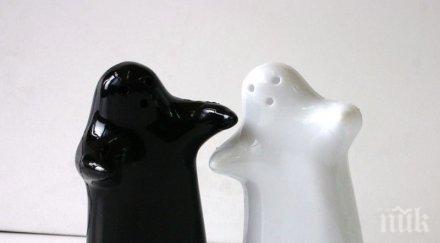 масата сол пипер