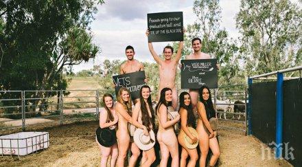 календар голи ветеринари обра точките