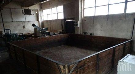 подробности бона вървели залозите кървавата питбул арена