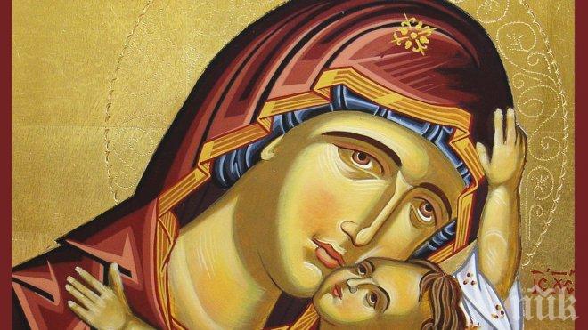 Знамение в Монтана! Образът на Богородица се появи върху върба 