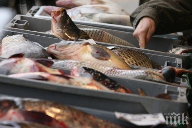 НАП погна търговци на риба на пазара 