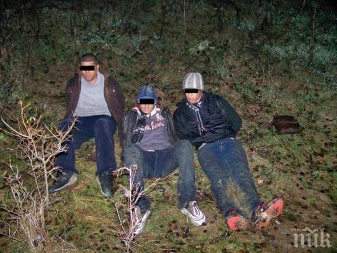 Турчин, българин и трима афганистанци обвинени в каналджийство