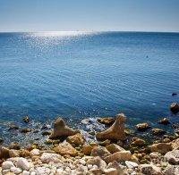 ПИК TV: 31 октомври - Международен ден на Черно море