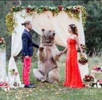 Огромна мечка венча руснаци (ВИДЕО)