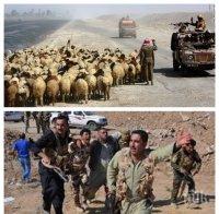 ИЗВЪНРЕДНО ЗА ВОЙНАТА: Идва ли развръзката? Терористите панически бягат от Мосул към Сирия!