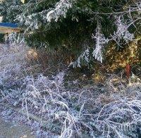 ЗИМАТА НАСТЪПВА! Температури под нулата ни сковават нощем - през деня термометърът лудва до 18 градуса