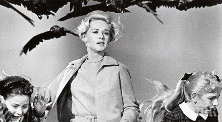 типи хедрън твърди хичкок подлагал сексуален тормоз