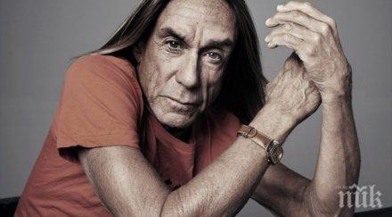 иги поп готви нов албум мистериозни колаборации