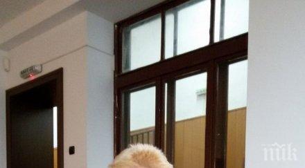 съдът остави скандалния травестит благовест алексия ареста