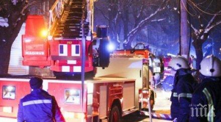 огнен варненка изгоря домашните любимци