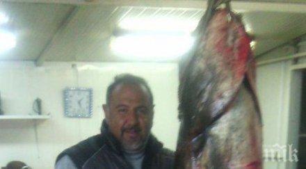 плодивчанин извади чудовище пясъчник снимка