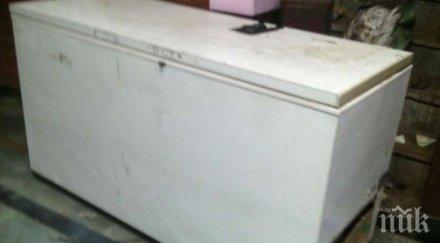 шок ужас дания телата три сирийски бежанки открити фризера дома