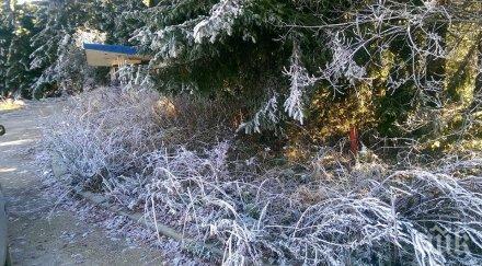 зимата настъпва температури нулата сковават нощем деня термометърът лудва градуса