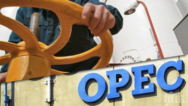 ОПЕК не стигна до решение за добивите, петролът слезе под 50 долара за барел