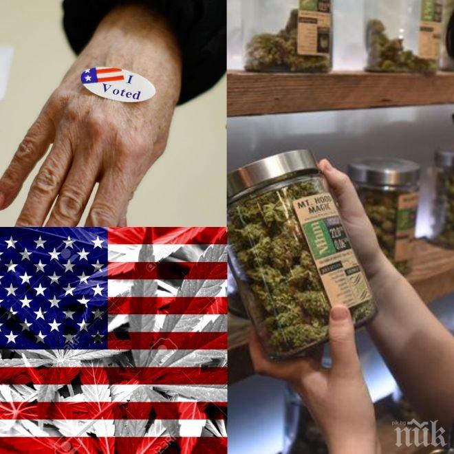 Важен избор за 9 щата – освен за президент, ще решават и за марихуаната на 8 ноември
