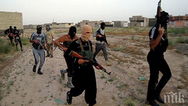 Проучване установи: Американците искат Москва и Вашингтон да се обединят срещу Ислямска държава