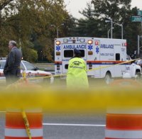 Диви кучета разкъсаха дете