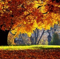 Утре ще бъде слънчево и топло