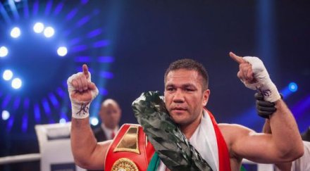 кобрата нокаутира бойко борисов