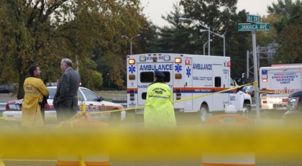 диви кучета разкъсаха дете