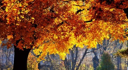 слънчево топло