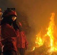 Голям пожар край Пловдив! Огънят настъпва към къщите на село Труд 