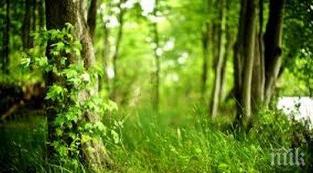 обявиха 109 гори специален статут