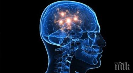 светът една крачка близо намирането лек алцхаймера