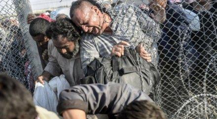 безобразие бежанец 1200 пенсионер 160